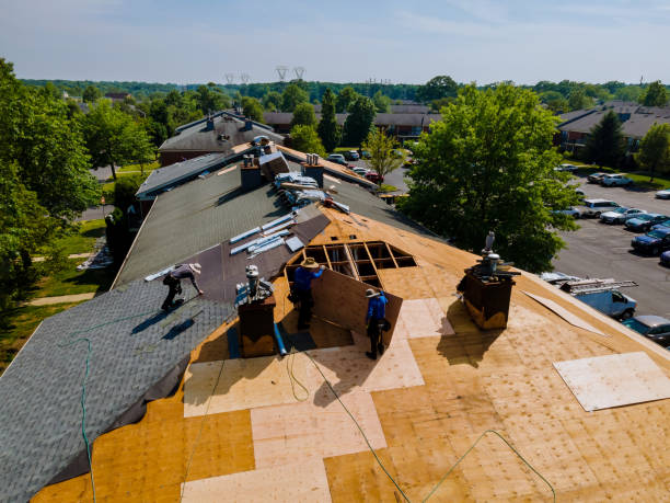 Best Roof Leak Repair  in Mccullom Lake, IL