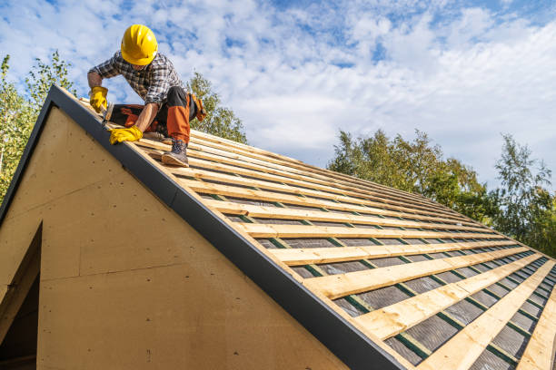 Best Roof Waterproofing Services  in Mccullom Lake, IL